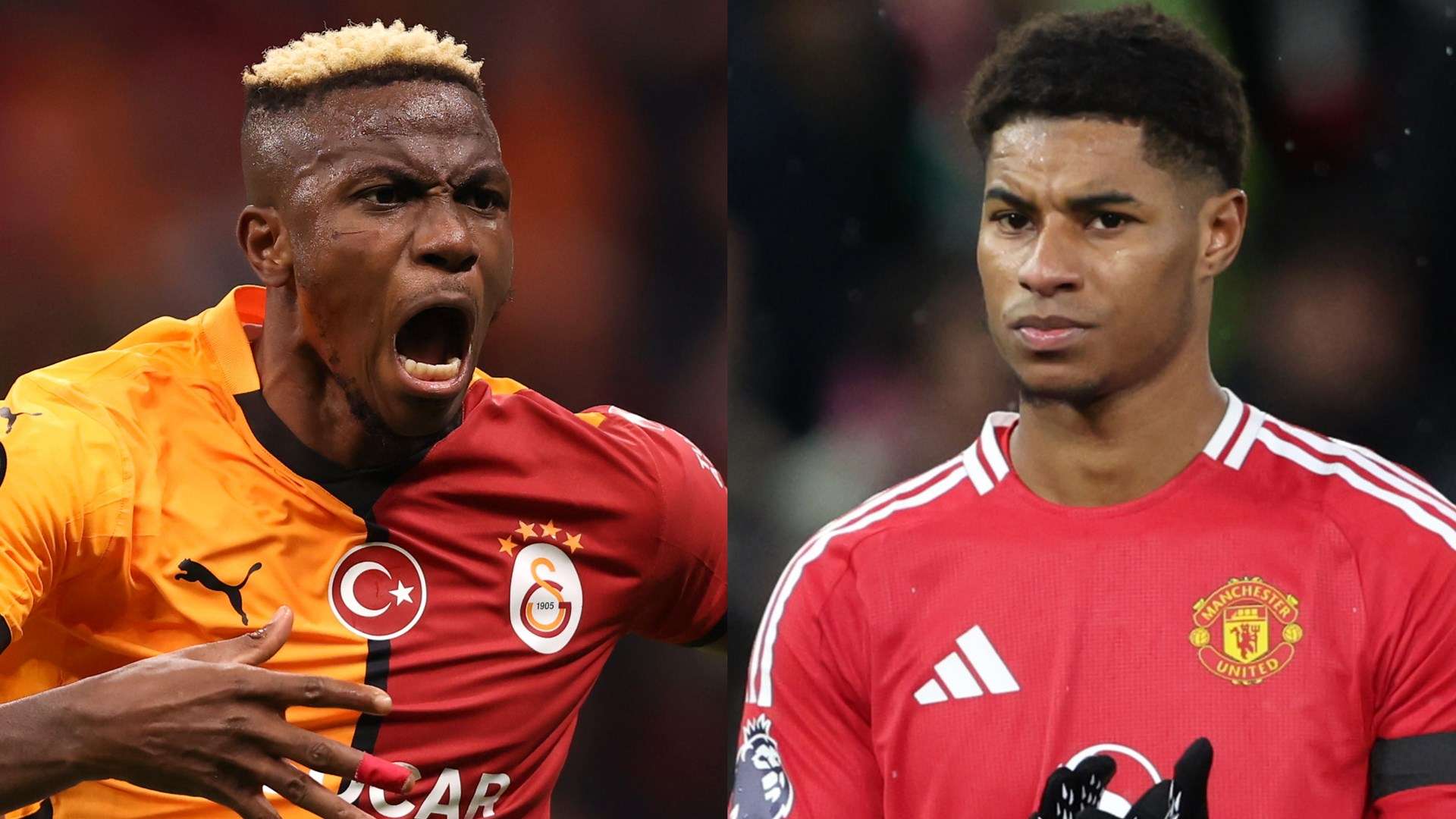 很可能成为 很可能成为